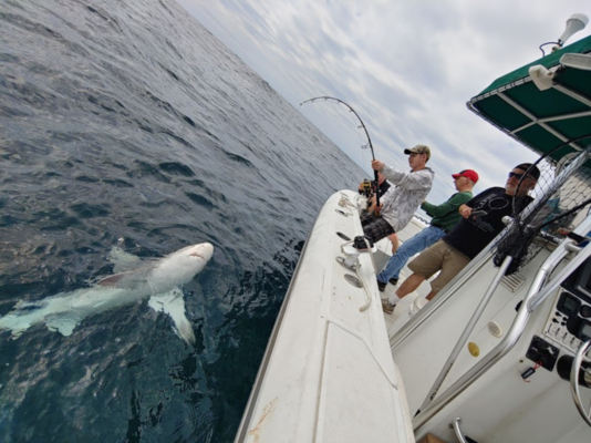 Daytona Beach Offshore Fishing v. Inshore Fishing: Know the Differences